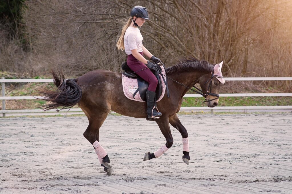 devenez un cavalier accompli avec notre instructeur d'équitation expérimenté, offrant des cours personnalisés pour tous les niveaux.