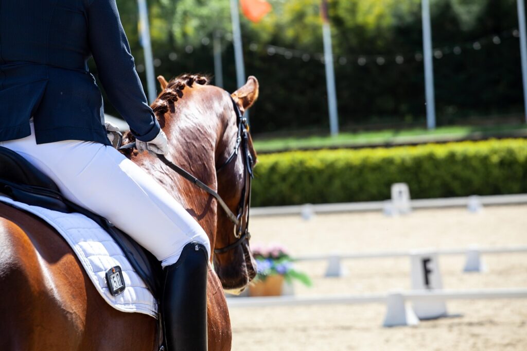 Competition equestre au Grand Parquet de Fontainebleau - dressage dans une arene professionnelle