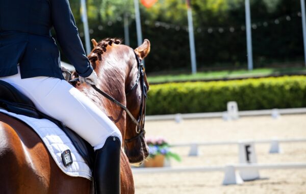 Competition equestre au Grand Parquet de Fontainebleau - dressage dans une arene professionnelle
