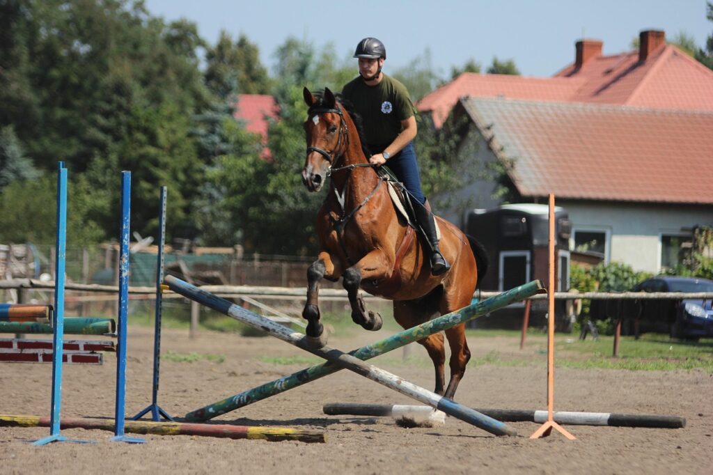 Cavalier en plein saut d'obstacles lors d'un tournoi equestre - competition de jumping