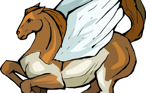 découvrez nos services professionnels de tonte et entretien des chevaux pour assurer leur confort et leur santé tout au long de l'année.