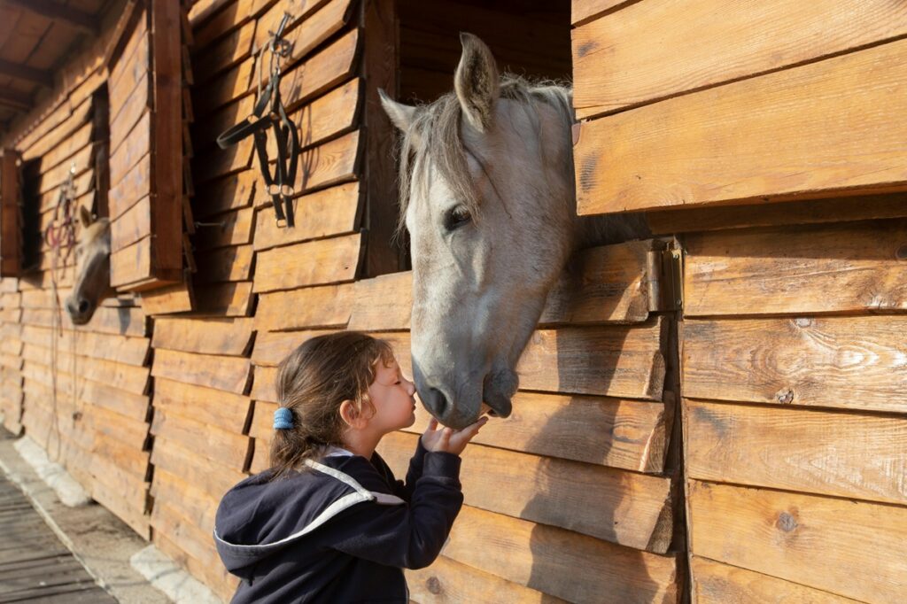 sol poney club