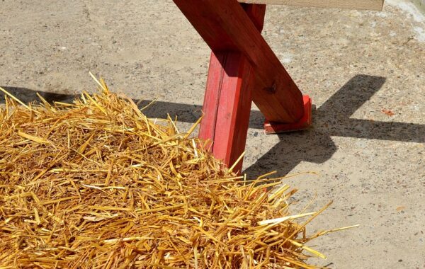 découvrez nos cavalettis de qualité pour améliorer l'entraînement équestre. parfaits pour développer l'agilité et le galop de votre cheval.
