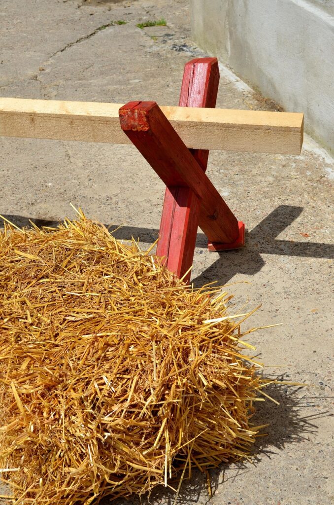 découvrez nos cavalettis de qualité pour améliorer l'entraînement équestre. parfaits pour développer l'agilité et le galop de votre cheval.