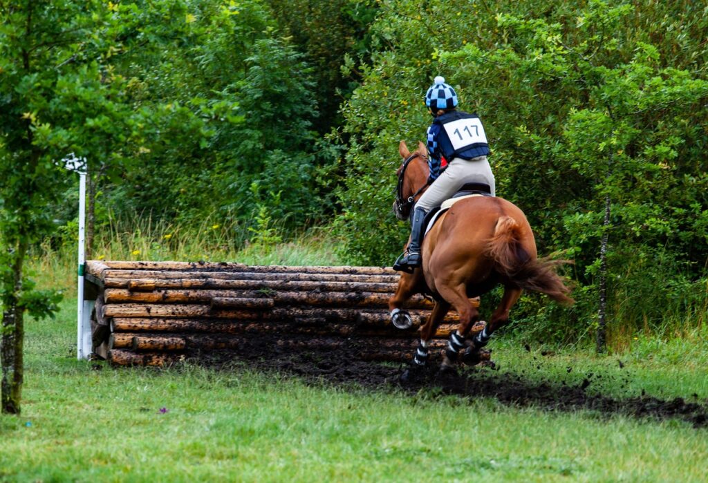 découvrez le cross-country, une discipline de course à pied en pleine nature alliant endurance et aventure. explorez nos conseils, équipements et parcours pour débutants et confirmés.