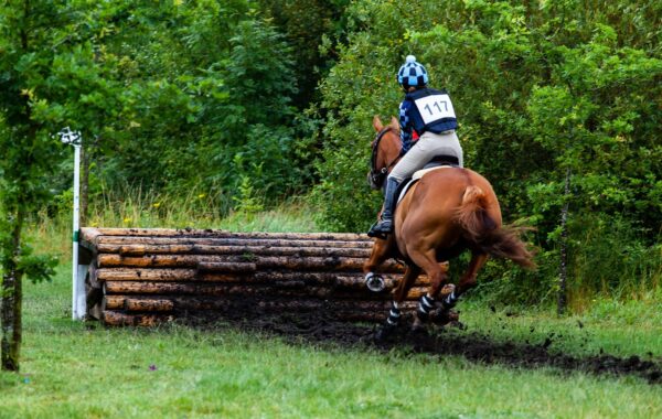 découvrez le cross-country, une discipline de course à pied en pleine nature alliant endurance et aventure. explorez nos conseils, équipements et parcours pour débutants et confirmés.