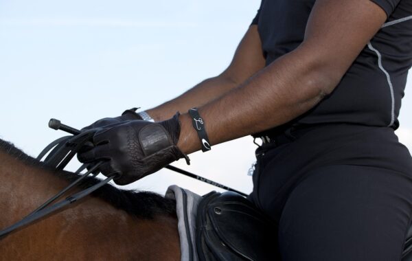 découvrez notre matériel équestre de qualité pour tous les cavaliers : selles, brides, protections et accessoires pour le confort et la sécurité de votre cheval.