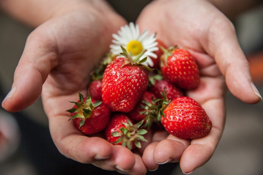 découvrez nos conseils et recettes pour une alimentation saine, équilibrée et savoureuse afin d'améliorer votre bien-être au quotidien.