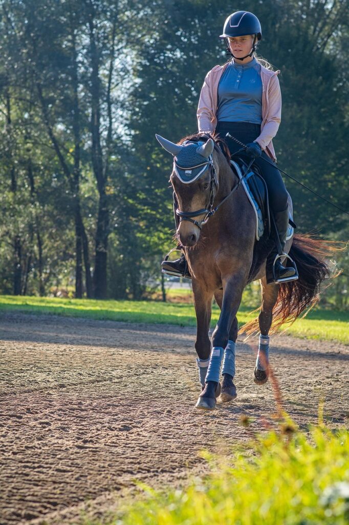 découvrez les joies de l'équitation : des balades à cheval pour tous les niveaux, en pleine nature ou en centre équestre.