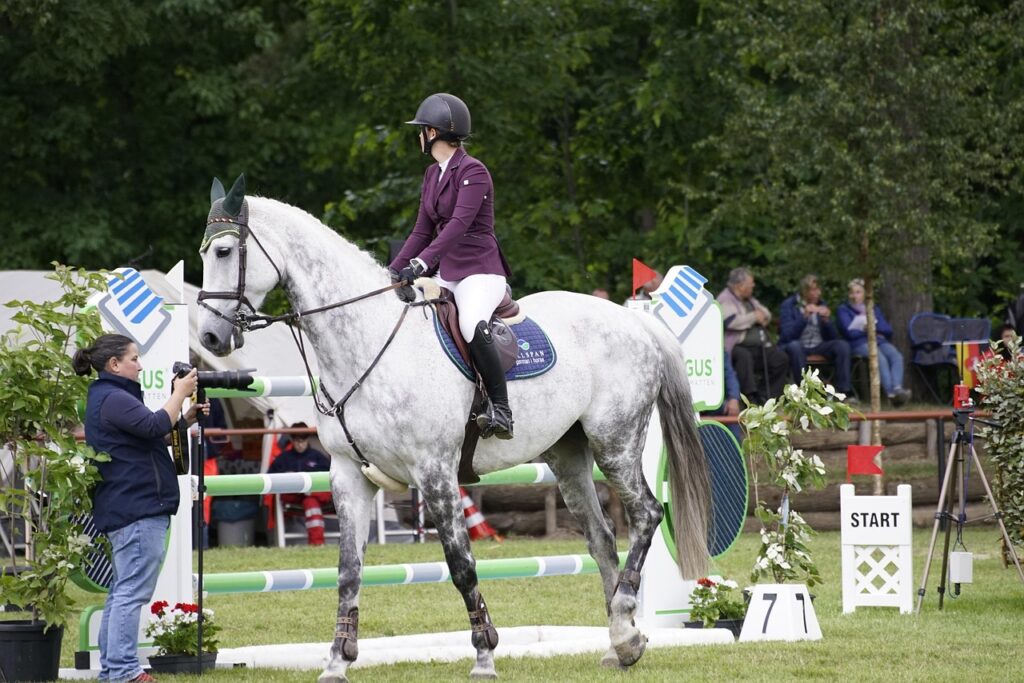 découvrez l'univers du saut d'obstacles, un sport équestre alliant précision, vitesse et complicité entre le cavalier et son cheval.
