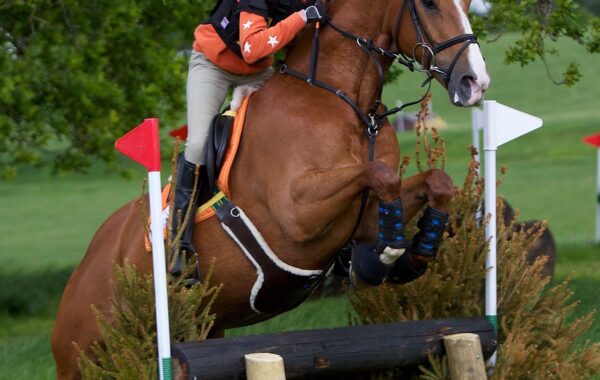 découvrez l'eventing, une discipline équestre complète alliant dressage, cross-country et saut d'obstacles pour des compétitions passionnantes.