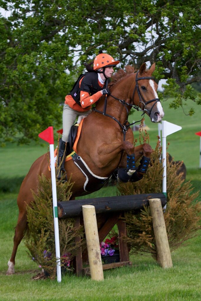 découvrez l'eventing, une discipline équestre complète alliant dressage, cross-country et saut d'obstacles pour des compétitions passionnantes.