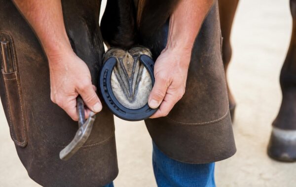 Marechal-ferrant posant un fer en plastique composite sur le sabot d'un cheval
