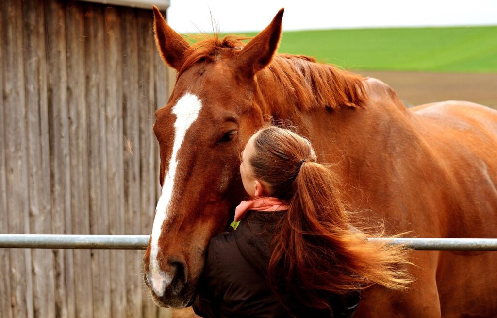 gastrogard pour chevaux : protection efficace contre les ulcères gastriques, traitement recommandé par les vétérinaires pour la santé digestive équine.