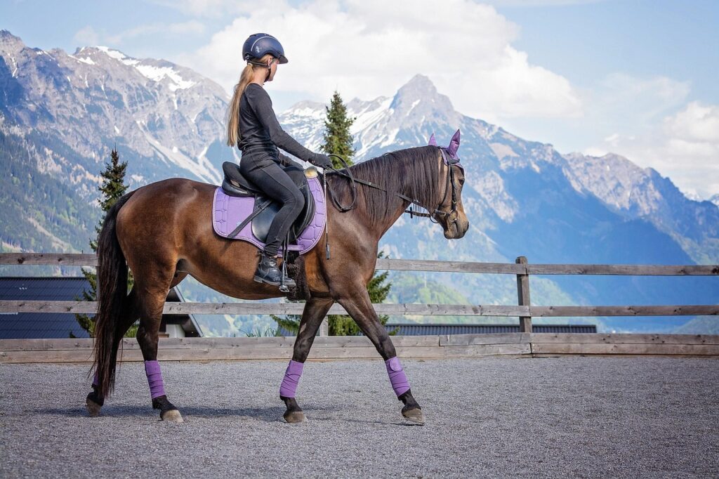 Du poney au cheval : quand franchir le pas ?
