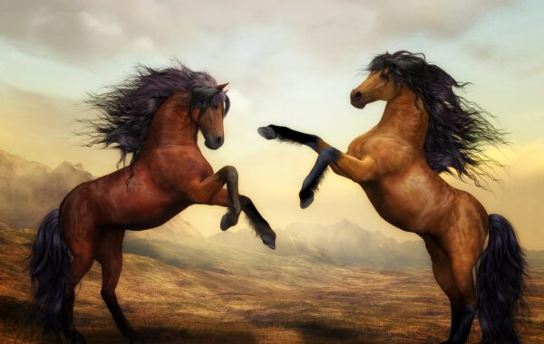 Tildren pour chevaux : quand et pourquoi l’intégrer à leur traitement ?