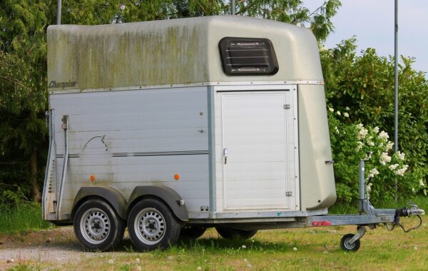 remorque pour chevaux robuste et sécurisée, idéale pour le transport confortable de vos équidés lors de déplacements ou compétitions.