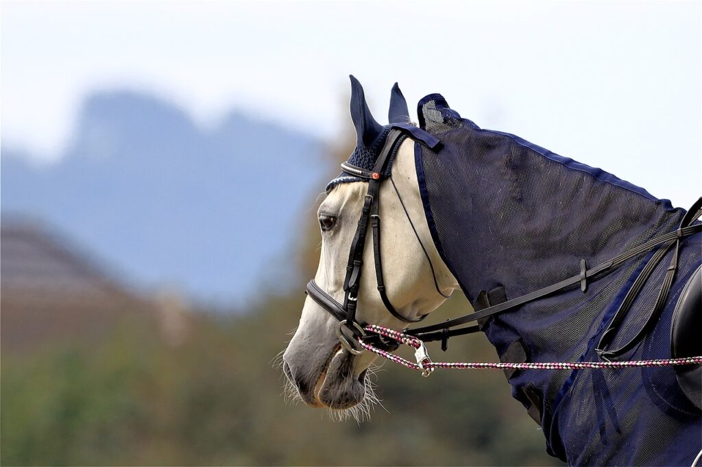 découvrez tout sur les moustaches des chevaux, leur rôle sensoriel essentiel et leur importance dans la perception de l'environnement.