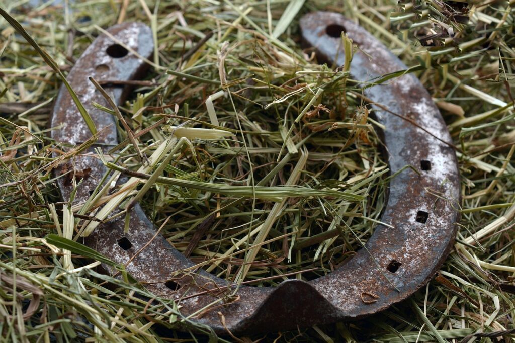 découvrez tout sur les fers à cheval : leur fabrication, leur utilisation et leur importance pour la santé des chevaux.