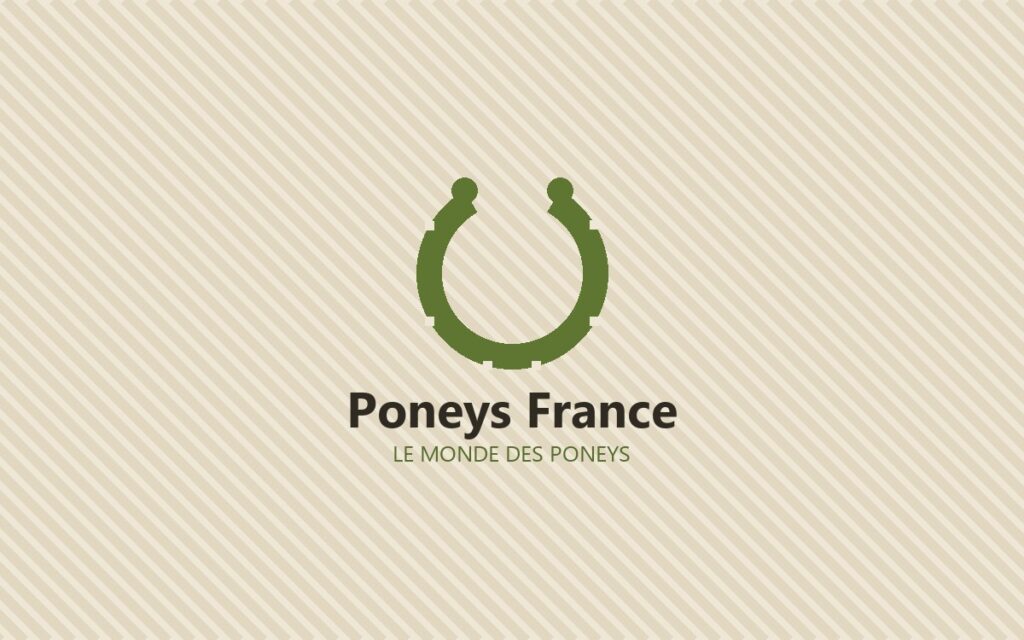 Poneys France, le monde des poneys