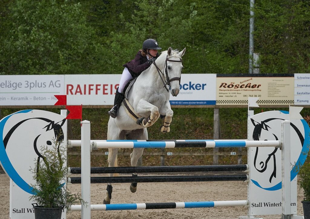 découvrez le spectacle captivant du saut d'obstacles, un sport équestre alliant technique, vitesse et précision pour chevaux et cavaliers passionnés.