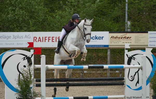 découvrez le spectacle captivant du saut d'obstacles, un sport équestre alliant technique, vitesse et précision pour chevaux et cavaliers passionnés.