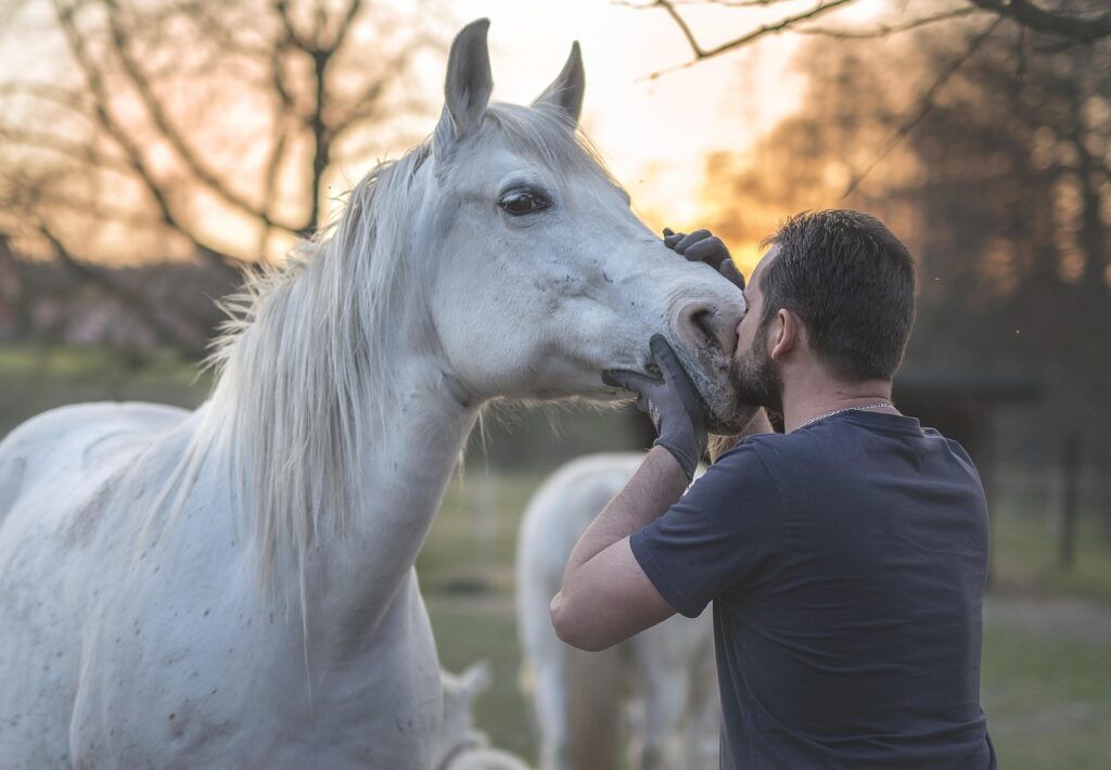 découvrez la puissance de la collaboration équestre pour améliorer la performance et renforcer le lien entre cavalier et cheval.