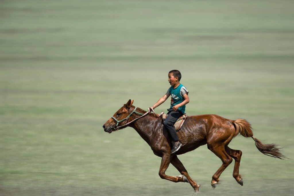 découvrez la durée de vie moyenne d'un cheval, les facteurs influençant sa longévité et comment bien prendre soin de votre cheval pour qu'il vive en bonne santé.