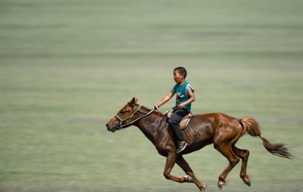 découvrez la durée de vie moyenne d'un cheval, les facteurs influençant sa longévité et comment bien prendre soin de votre cheval pour qu'il vive en bonne santé.