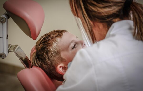 dentiste équin spécialisé dans les soins bucco-dentaires des chevaux pour assurer leur santé et leur bien-être optimal.