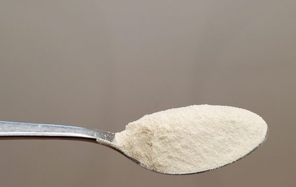 découvrez les bienfaits du psyllium, une fibre naturelle efficace pour améliorer la digestion et favoriser le transit intestinal.