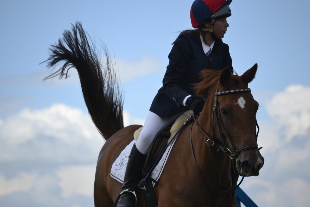 découvrez le monde du saut d'obstacles, une discipline équestre alliant vitesse, précision et élégance. informez-vous sur les compétitions, techniques et entraînements du show jumping.