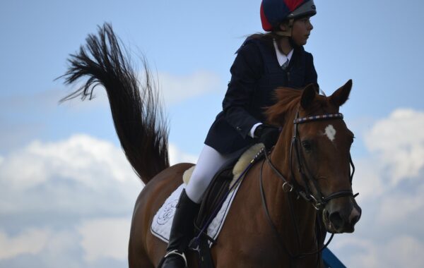 découvrez le monde du saut d'obstacles, une discipline équestre alliant vitesse, précision et élégance. informez-vous sur les compétitions, techniques et entraînements du show jumping.