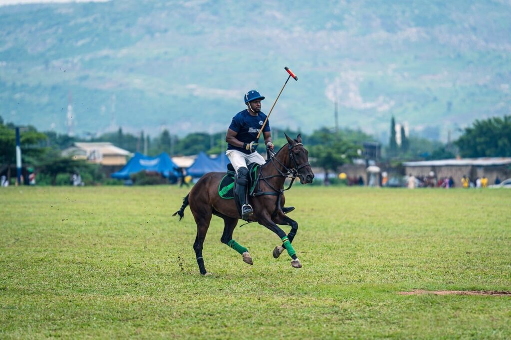 Paddock polo à poney : les catégories, le terrain et les règles du jeu