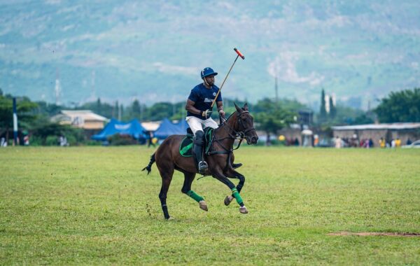 Paddock polo à poney : les catégories, le terrain et les règles du jeu