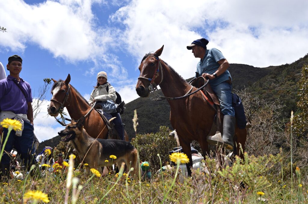 Mountain trail à poney : le parcours d’obstacles naturels, règle par règle