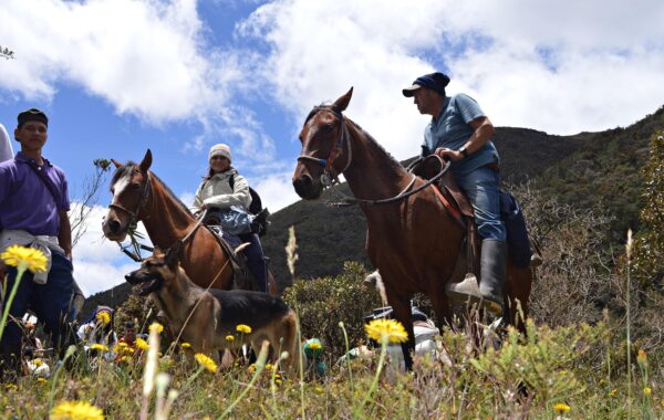 Mountain trail à poney : le parcours d’obstacles naturels, règle par règle