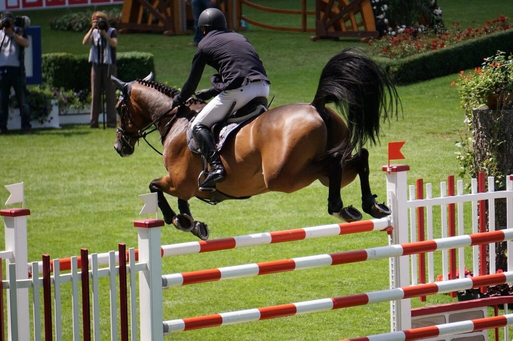 Courses de galop à poney : plat, haies et cross, les règles FFE
