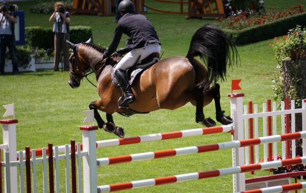 Courses de galop à poney : plat, haies et cross, les règles FFE