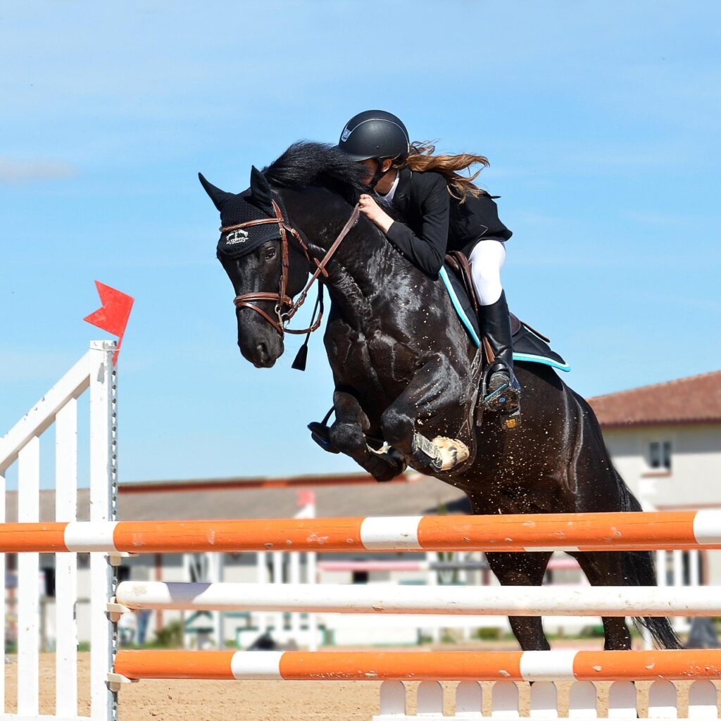 FEI Jumping Ponies’ Trophy à Equita Lyon 2026 : l’épreuve et la visite en famille