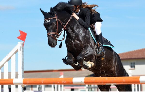 FEI Jumping Ponies’ Trophy à Equita Lyon 2026 : l’épreuve et la visite en famille