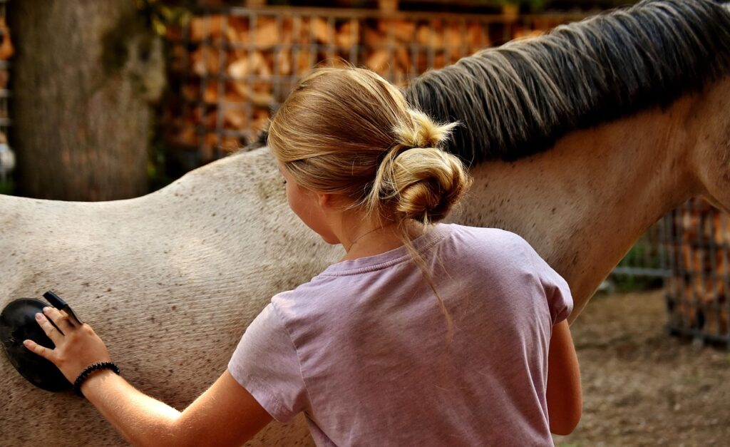 découvrez les essentiels du grooming équin : brosses, soins et conseils pour entretenir le pelage de votre cheval et favoriser son bien-être.