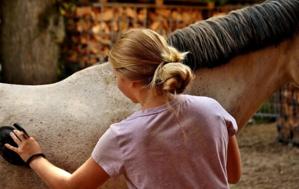 découvrez les essentiels du grooming équin : brosses, soins et conseils pour entretenir le pelage de votre cheval et favoriser son bien-être.