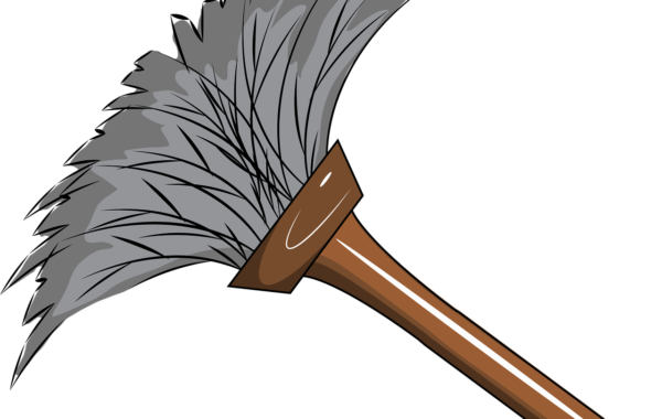 découvrez notre brosse douce, idéale pour prendre soin de vos cheveux et les coiffer en douceur au quotidien.
